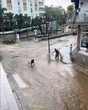 Zobacz wideo Były upały, jest potop! Hiszpania pod wodą. Czy nadal będzie niebezpiecznie?