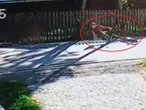 Ku przestrodze Policja pokazała upadek 11-latka na hulajnodze jako ostrzeżenie. Wideo daje do myślenia