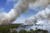 Tropikalna katastrofa Świat traci lasy w rekordowym tempie. Wszystko przez pożary i susze