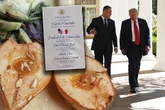 Tylko w Super Expressie Tak karmią Nawrockiego w Białym Domu. Menu robi wrażenie!