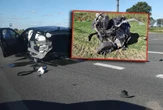 Są ranni Potężne zderzenie na Mazowszu! Auto rozpadło się na pół