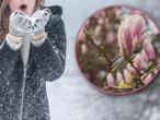 Co mówią synoptycy? Śnieg, wiatr i przymrozki nie ustępują. Czy to ostatnie podrygi zimy? Prognoza pogod…