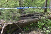 szczegóły szokują! Marek został brutalnie zamordowany, a jego ciała nigdy nie odnaleziono. Zagadkę rozwiązano dopiero po niemal 30 latach