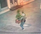 NIEUDANA KRADZIEŻ "Miłośnik przyrody" podwędził donicę z rynku w Krakowie. "Chłop ma mocny kręgosłup"