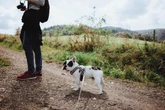 Bieszczady Tylko raz w roku można wejść na ten szczyt w Bieszczadach. Znajdą się tam tylko nieliczni