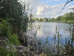 zapraszamy na spacer! Zielona perła Bartodziejów. Odkryj uroki bydgoskiego Balatonu