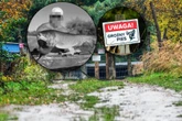 Pogrzeb "Dobry, serdeczny". Pan Marcin został zagryziony przez trzy psy. Jest data pogrzebu