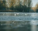 Najnowsza prognoza Opady śniegu i porywisty wiatr to nie wszystko! W tym regionie zaatakuje zima