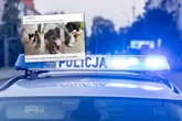 Szokujące nagranie Brutalne pobicie 14-latki. Koleżanki zwabiły ją w pułapkę i wszystko nagrały. "Przer…