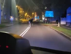 Nocny spacer po mieście Niezwykły gość w Tarnowie. Policja eskortowała łosia