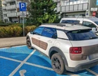 Skandal na parkingu! Cwana babka chciała oszukać strażników. Podszyła się pod zmarłą