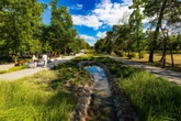Warto wiedzieć Stalowa Wola zaskakuje architekturą i klimatem
