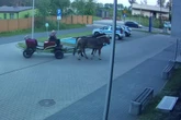 Wszystko się nagrało Dostał dożywotni zakaz, więc wymyślił to! Policjanci wyjrzeli przez okno i zobaczyli…