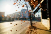 Prognoza na sobotę Taką pogodą pożegna nas listopad. Wyczekiwana zmiana!