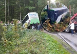 na sygnale Wypadek autobusu pełnego uczniów w powiecie puckim! Zderzył się z ciężarówką i wjechał do rowu. Są ranni