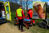 WAŻNE Co robić, gdy ukąsi żmija? Ratownicy przed majówką przypominają o zagrożeniach