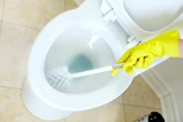 Usunie kamień i brzydki zapach Zazwyczaj dodajesz ją do herbaty, tym razem wyczyść nią toaletę, a usuniesz żółte za…