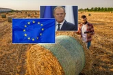 Rolnictwo Tusk nie zgadza się na wielką umowę handlową!
