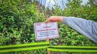 Niespodzianka na budowie Zielony intruz zaskoczył budowlańców. To niezwykle groźny gatunek