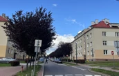 Perła socrealizmu Tak wyglądało idealne miasto PRL. Perła socrealizmu, która miała być wzorem dla innych