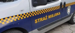 uwaga! Straż miejska z Bydgoszczy szuka pracowników! Ten jeden warunek może przekreślić wie…
