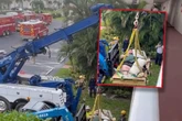 Zobacz wideo Tak utył, że nie mógł wyjść z mieszkania! Wycinali ściany i wzywali dźwig