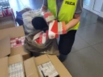STRATY NA 6 MLN ZŁOTYCH Sensacja pod Przasnyszem! Rozbito nielegalną fabrykę. Pedro D. i spółka zatrzymani