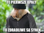 Pierwszy dzień lata 2021 na wesoło! Zobaczcie najlepsze memy w internecie [GALERIA]