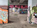 O CO CHODZI? Rewolucja w Krakowie. Robią graffii, ale nie będą ścigani. Jest jeden warunek