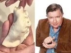 Nie do wiary co on mówi! Włodek z "Na Wspólnej" rozprawia... o seksie i pierogach! Wyraził dość kontrowersyjn…