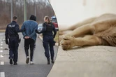 Są zarzuty dla kolegów Na posesji znaleziono świeżo kopaną ziemię. Pod spodem ciało! 28- i 30-latek zatrzym…