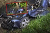DRAMAT Lekarze przegrali walkę o życie młodego kierowcy. 28-latek roztrzaskał się na drzewie