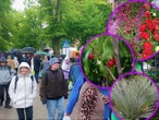 Liczne atrakcje Wały Chrobrego zakwitły kolorami. Pomimo deszczu i zimna, kiermasz "Pamiętajcie o og…