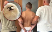 szokujące szczegóły! Złodzieje chcieli zrobić romantyczny gest, a wpadli! Pies warty fortunę wrócił do właściciela