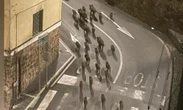 Dzika inwazja Dziki przejęły włoskie miasteczko! Mieszkańcy uciekają