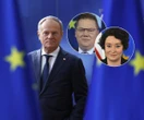 Komentarze po expose Tuska Koalicjanci rozczarowani przemówieniem Tuska: "Zabrakło wizji przyszłości Polski"