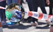 szok! Wstrząsające odkrycie w śmietniku. Mieszkańcy są oburzeni. "Straszne nieludzkie"