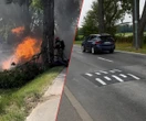 Drogowcy montują progi Zabezpieczyli ulicę śmierci. Rok temu BMW wbiło się tu w drzewo. Nikt nie przeżył