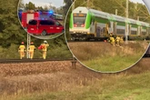 Wypadek śmiertelny Horror na torach w Wesołej. Kobieta weszła wprost pod pociąg