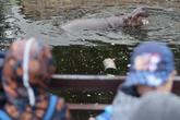 Urodziny w ZOO Hugo świętuje 19. urodziny. Warszawskie ZOO zaprasza gości