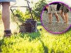 Ważny apel Koszenie trawy może skończyć się powodzią! Wystarczy jedna prosta czynność, by unikn…