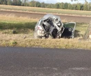 Śmiertelny wypadek Tragedia na drodze. Opel wbił się w drzewo, kobieta zmarła w szpitalu