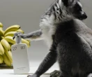 Strefa beauty Wiosna pełna wyjątkowych nowości w Mood Scent Bar!