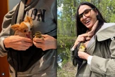W komentarzach burza Demi Moore przygarnęła kaczki! "Uratowałam je"