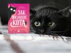 Bestsellerowa autorka Zaręczony?! I co z tego! - „Jak odchudzić kota” Moniki Wawrzyńskiej