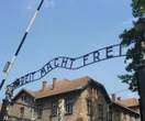 Co im grozi? Skandal w Muzeum Auschwitz! Pijani turyści zatrzymani