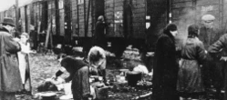 Wstyd! Belgijskie koleje zarobiły miliony na deportacjach