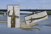 Ważne znalezisko Wisła oddaje skarby. Kolejne sensacyjne odkrycie, zabytkowa szabla wyłowiona z rzeki