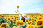 test wiedzy Quiz o letnich kwiatach. Twoja babcia zdobędzie 10/10, a Ty?