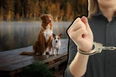Coś strasznego! Zagłodziła psa na śmierć! 22-latka aresztowana. Służby mówią o szczególnym okrucieńs…